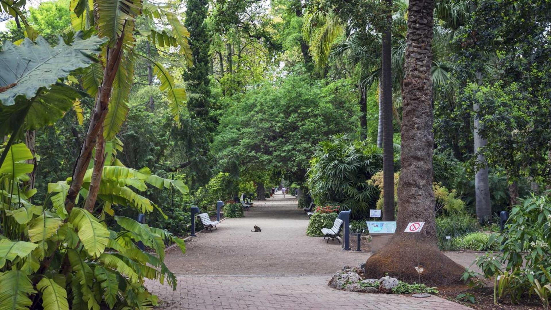 Luxotica Gardens Valencia Valência Exterior foto